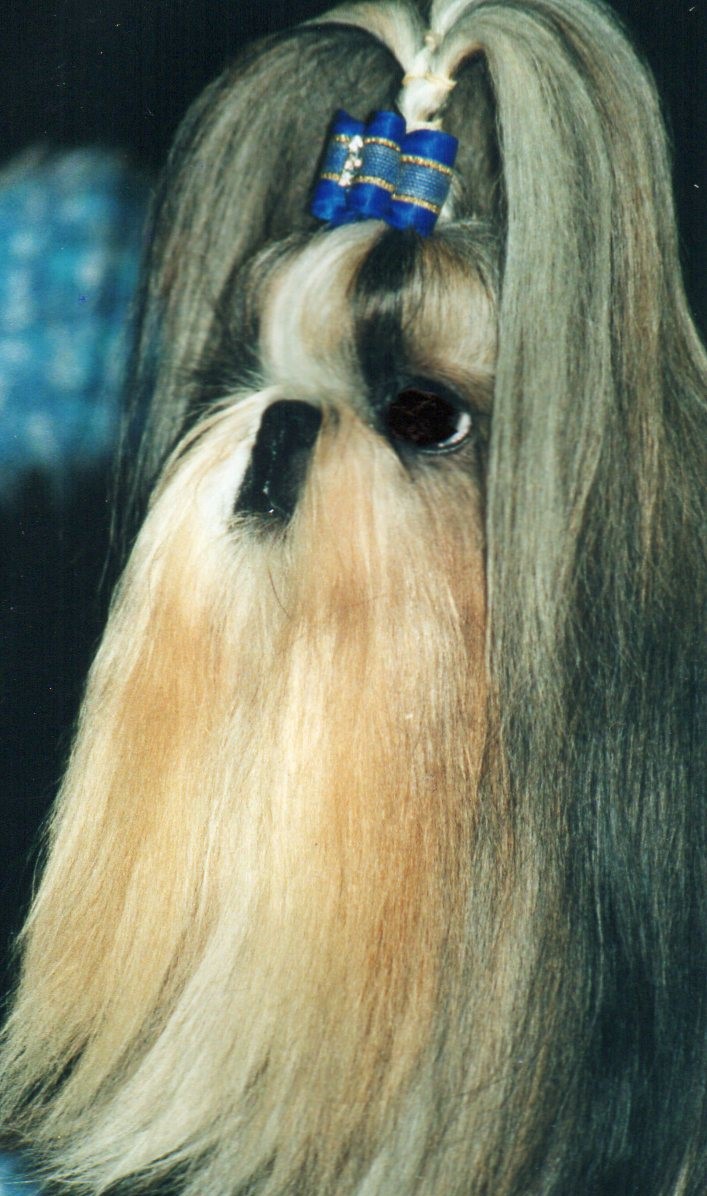 Bobo001
