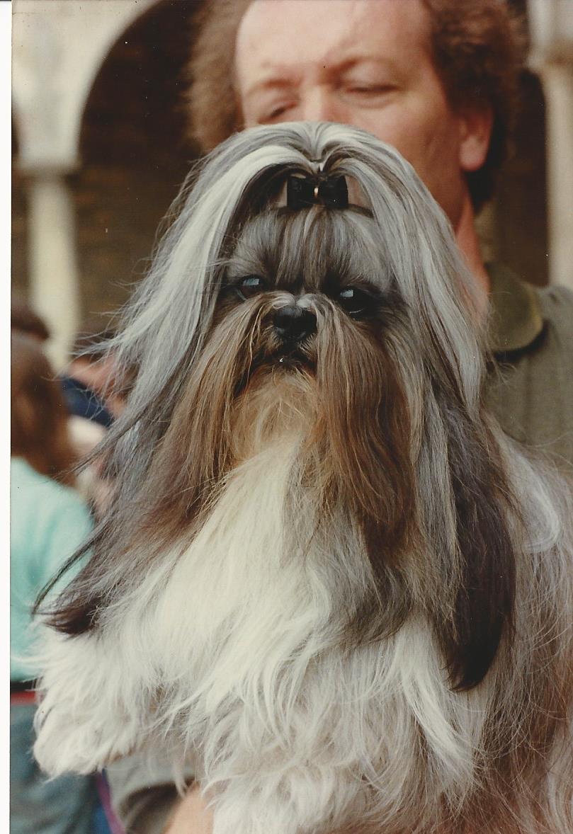 EL JALISCOSERH TZU