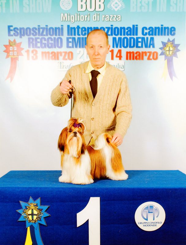 Ombra Delle Fiabe